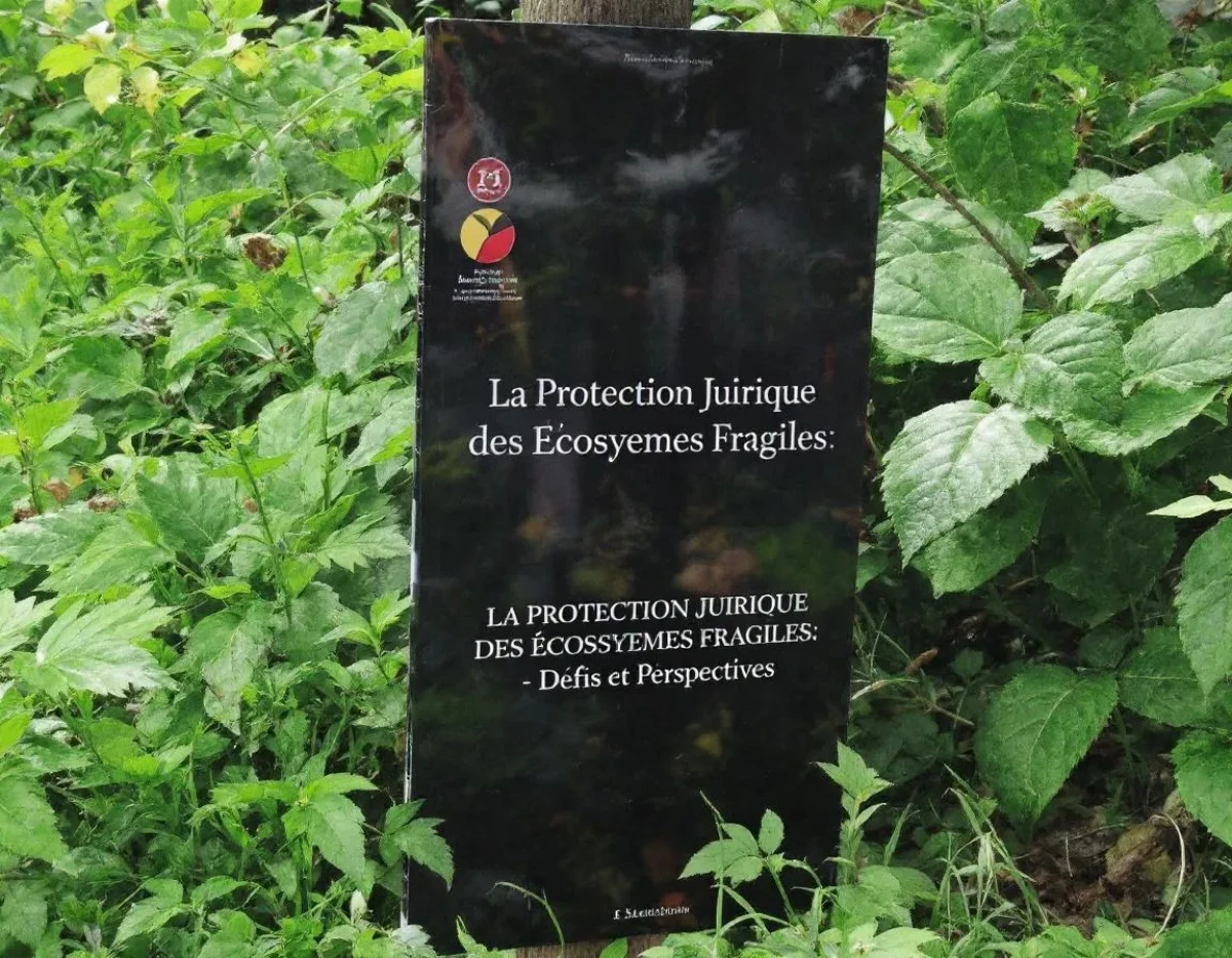 La Protection Juridique des Écosystèmes Fragiles : Défis et Perspectives